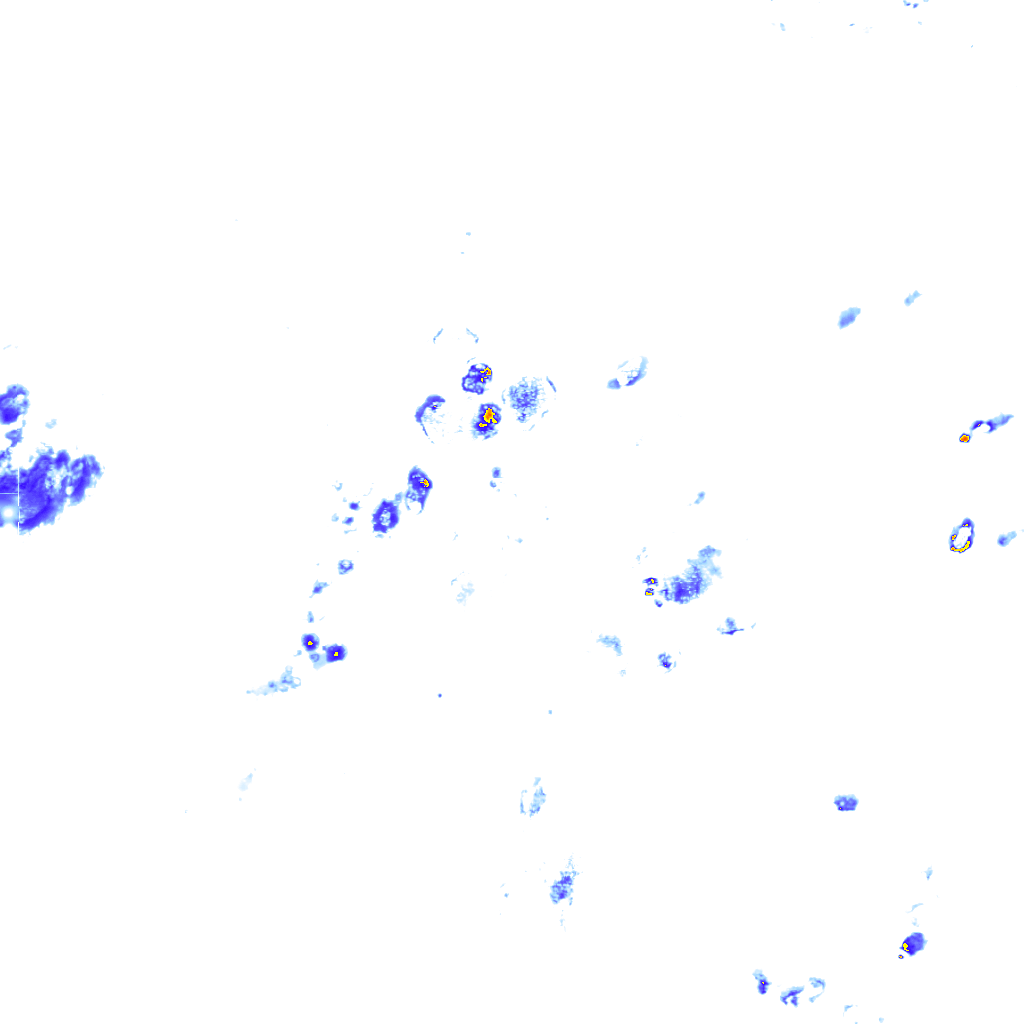rainLayer