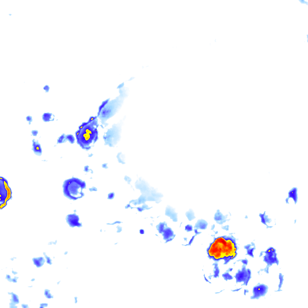 Image Layer