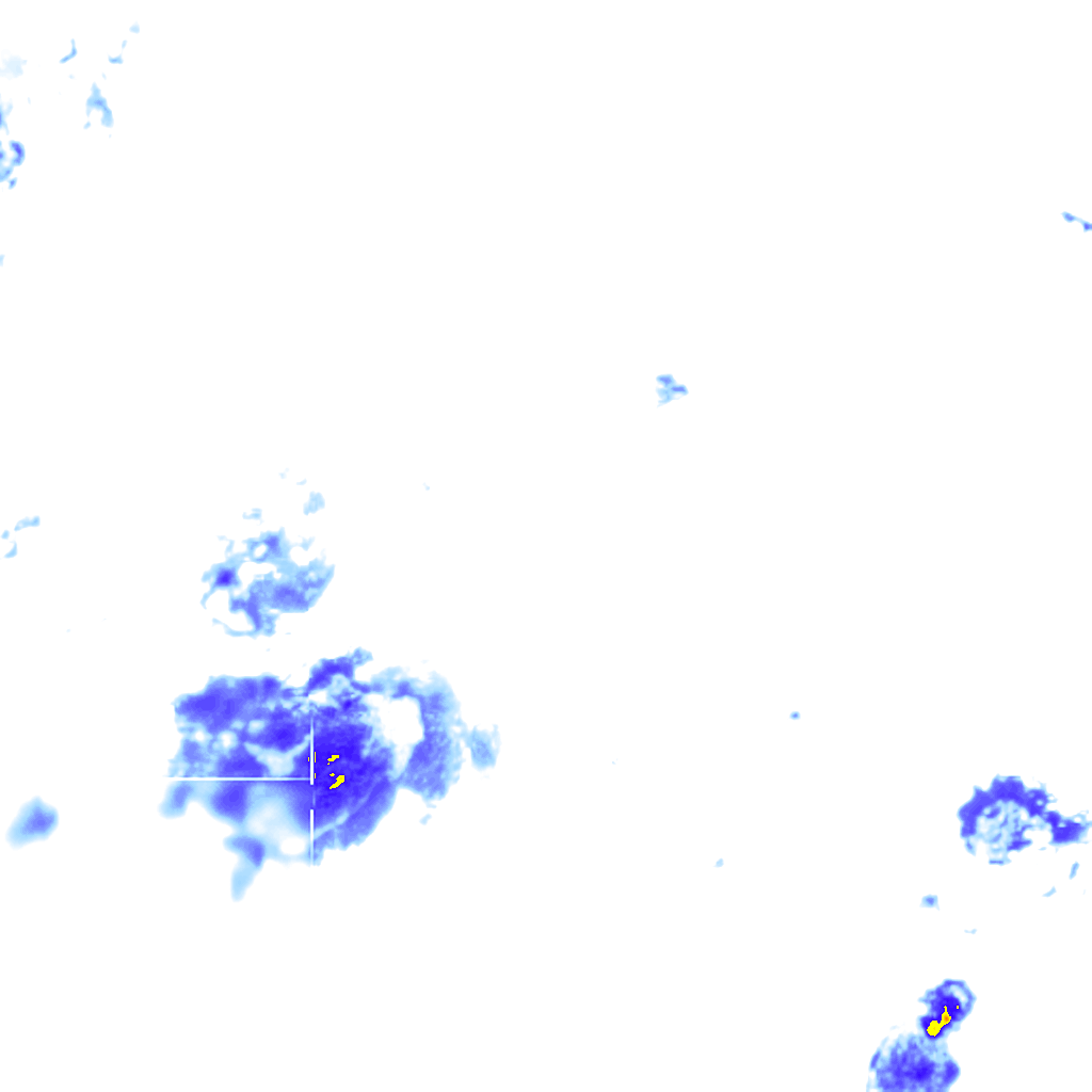 rainLayer