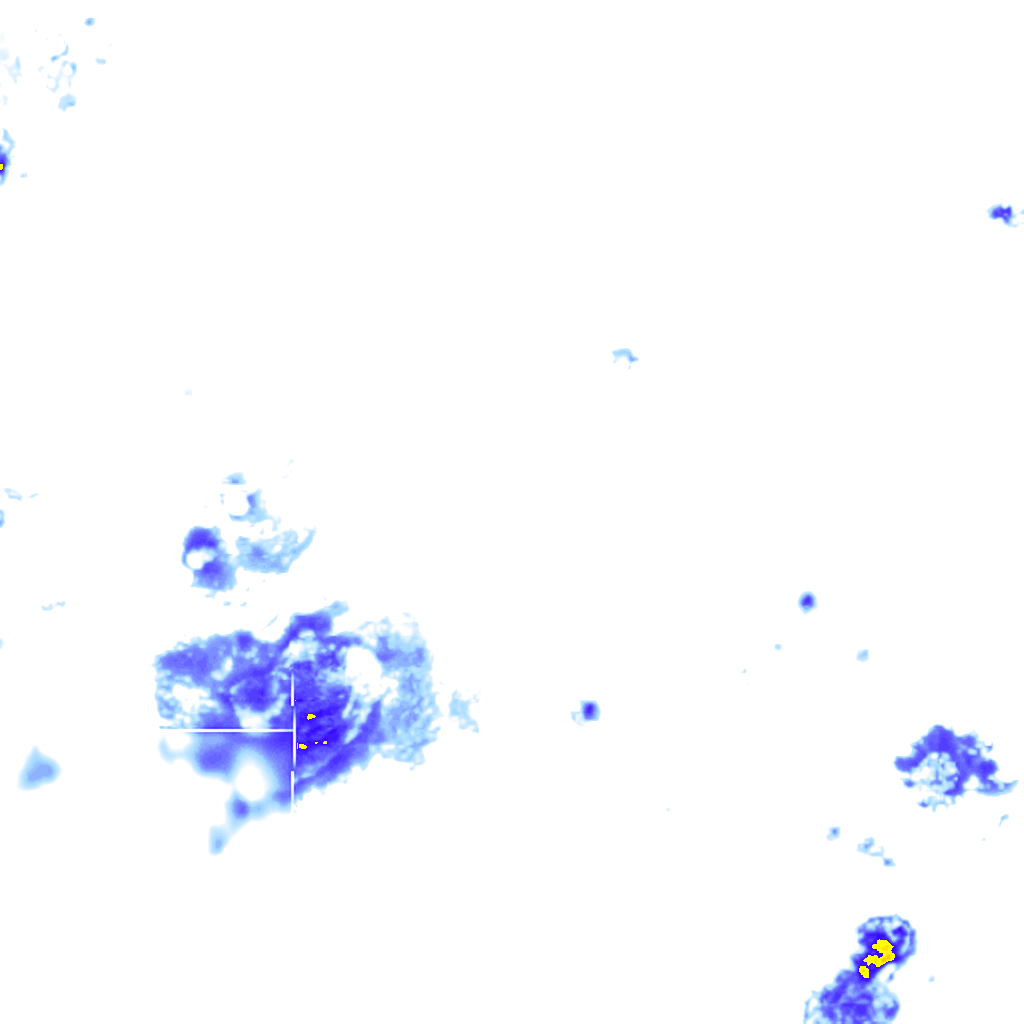 rainLayer