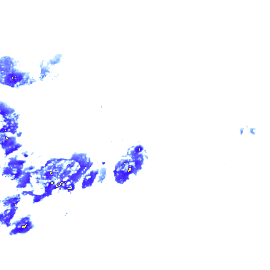 rainLayer