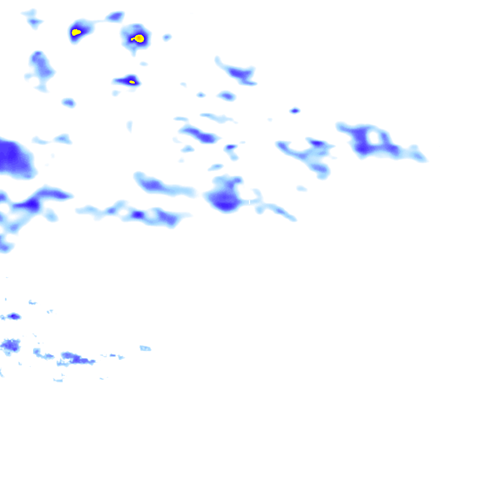 rainLayer