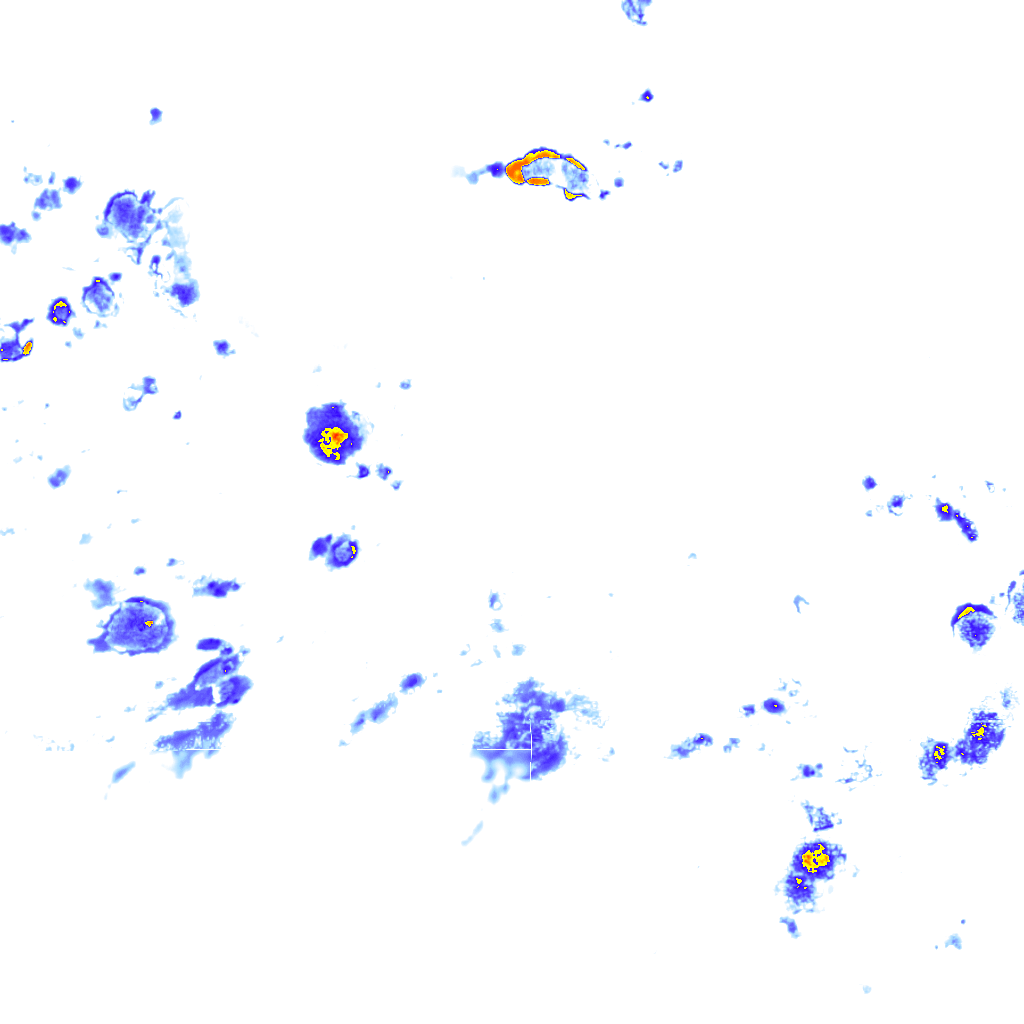 rainLayer