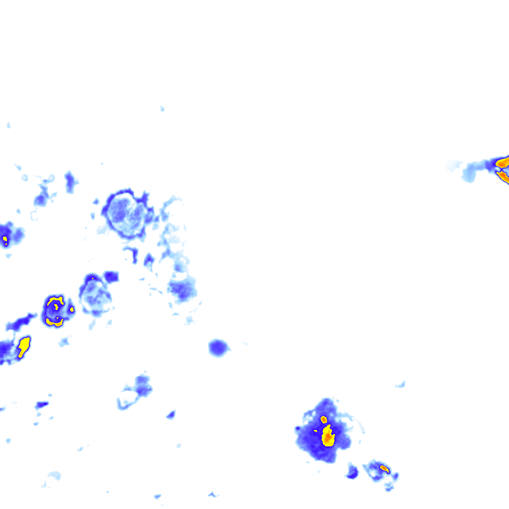 rainLayer
