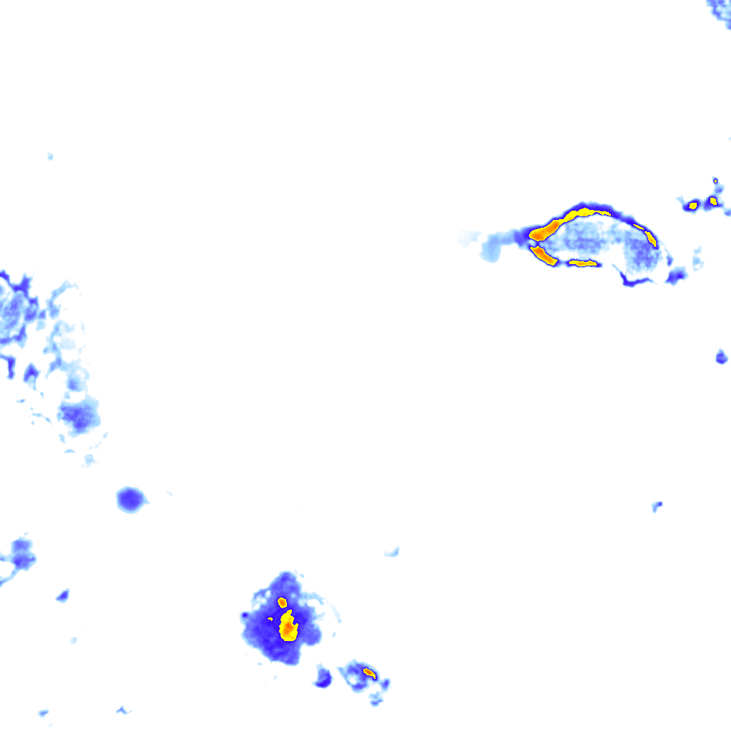 rainLayer
