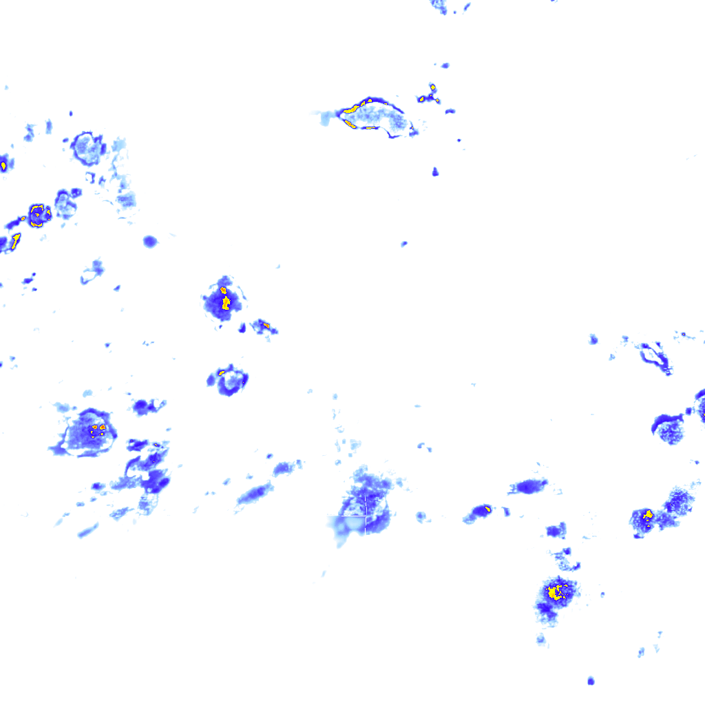 rainLayer