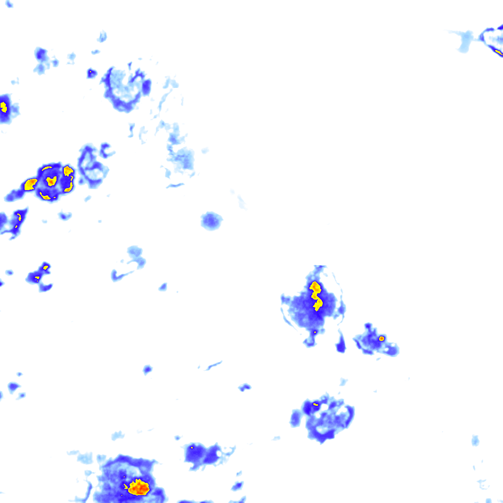 rainLayer