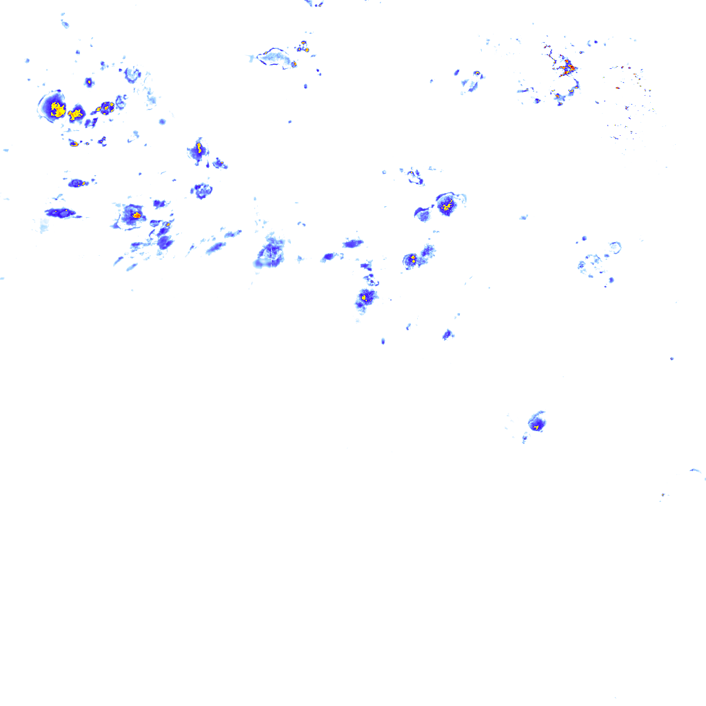 rainLayer