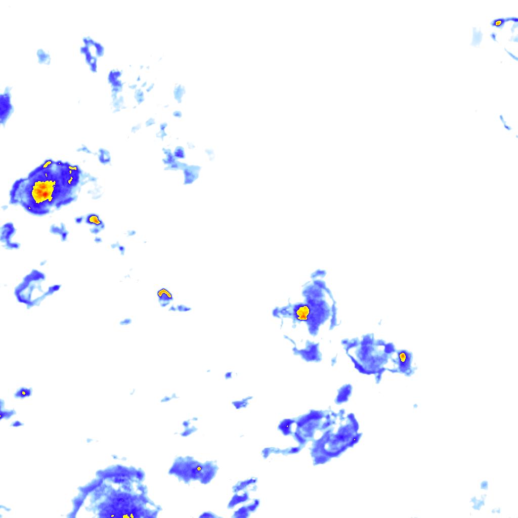 rainLayer