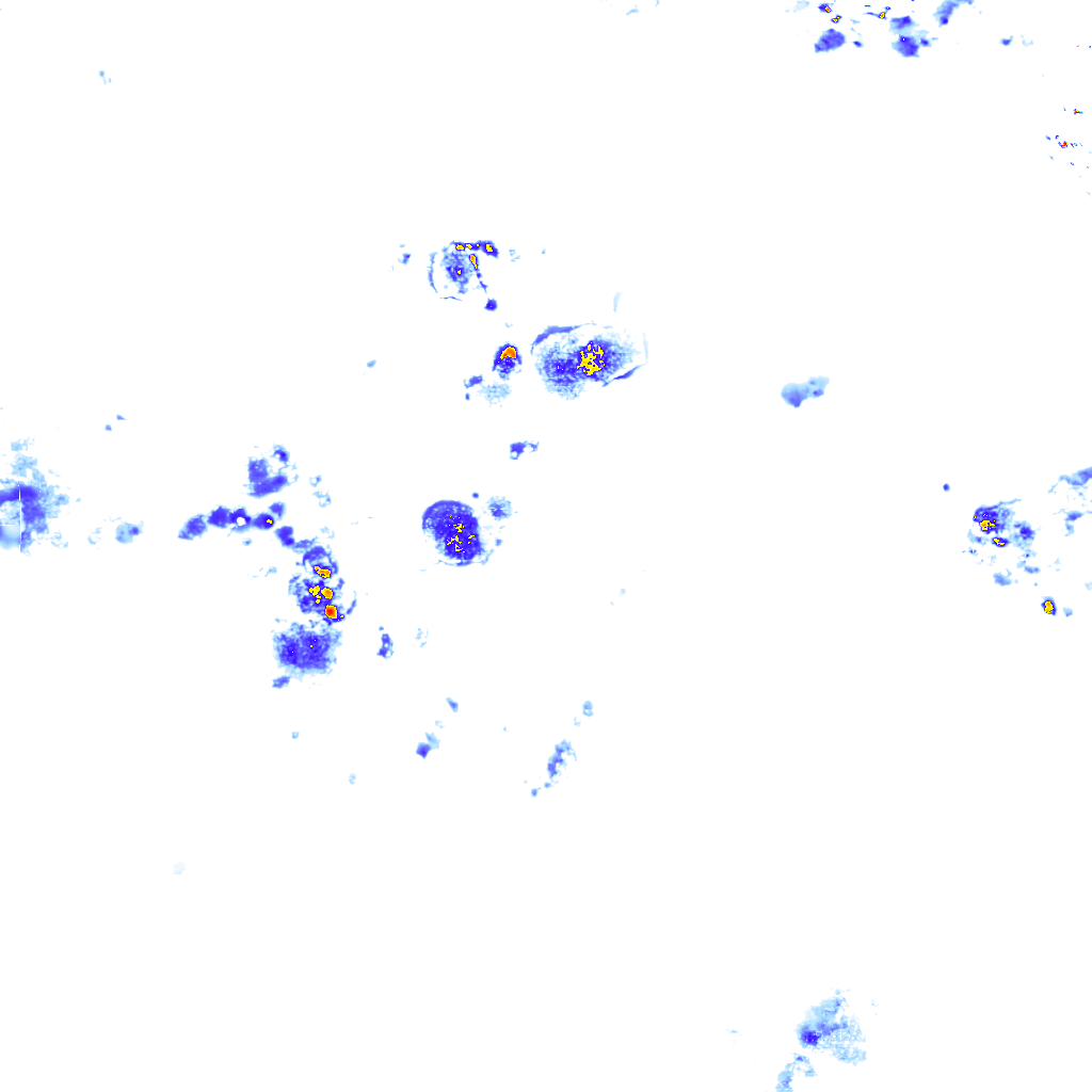 Image Layer