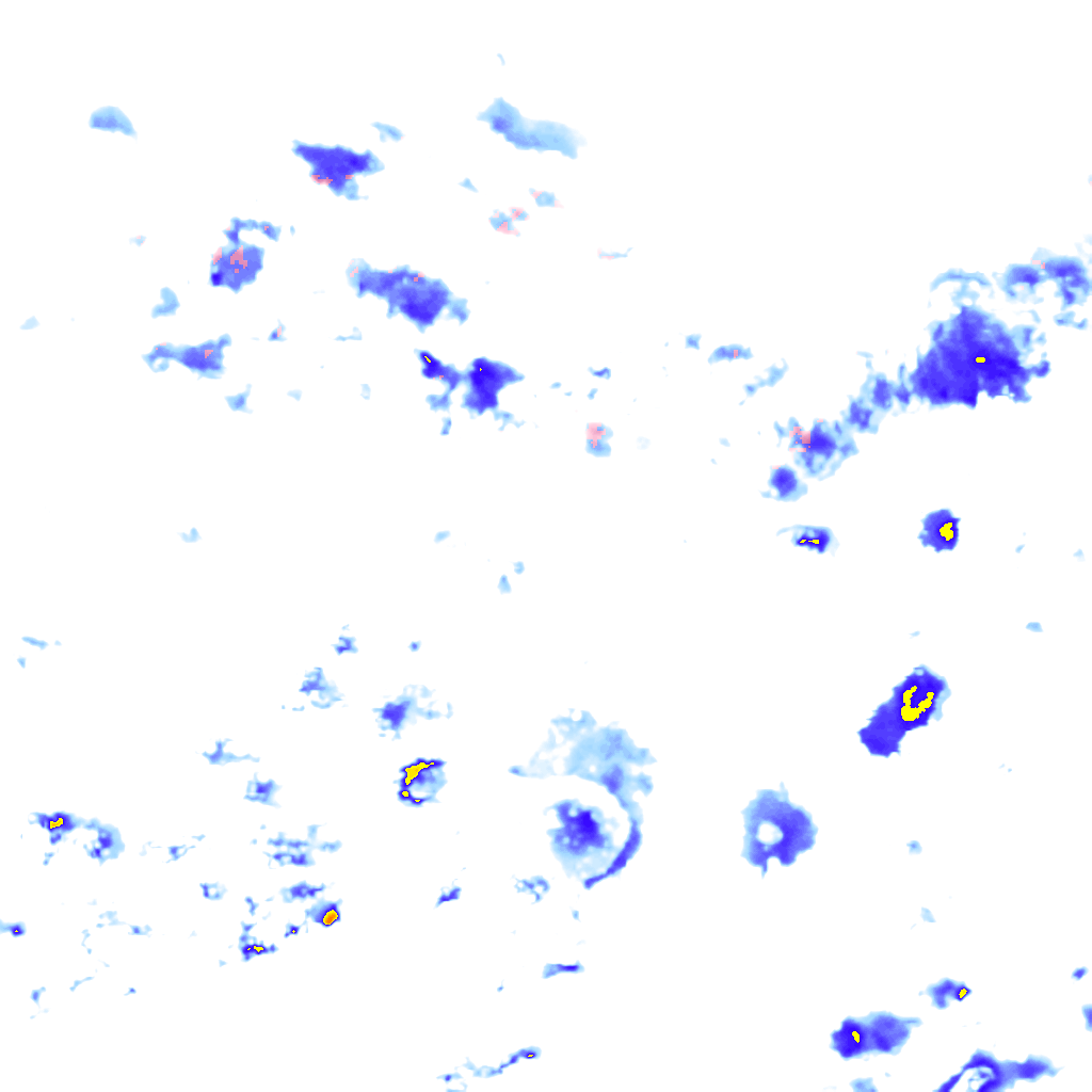 rainLayer