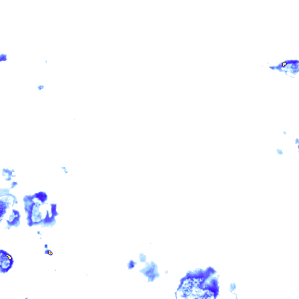 rainLayer
