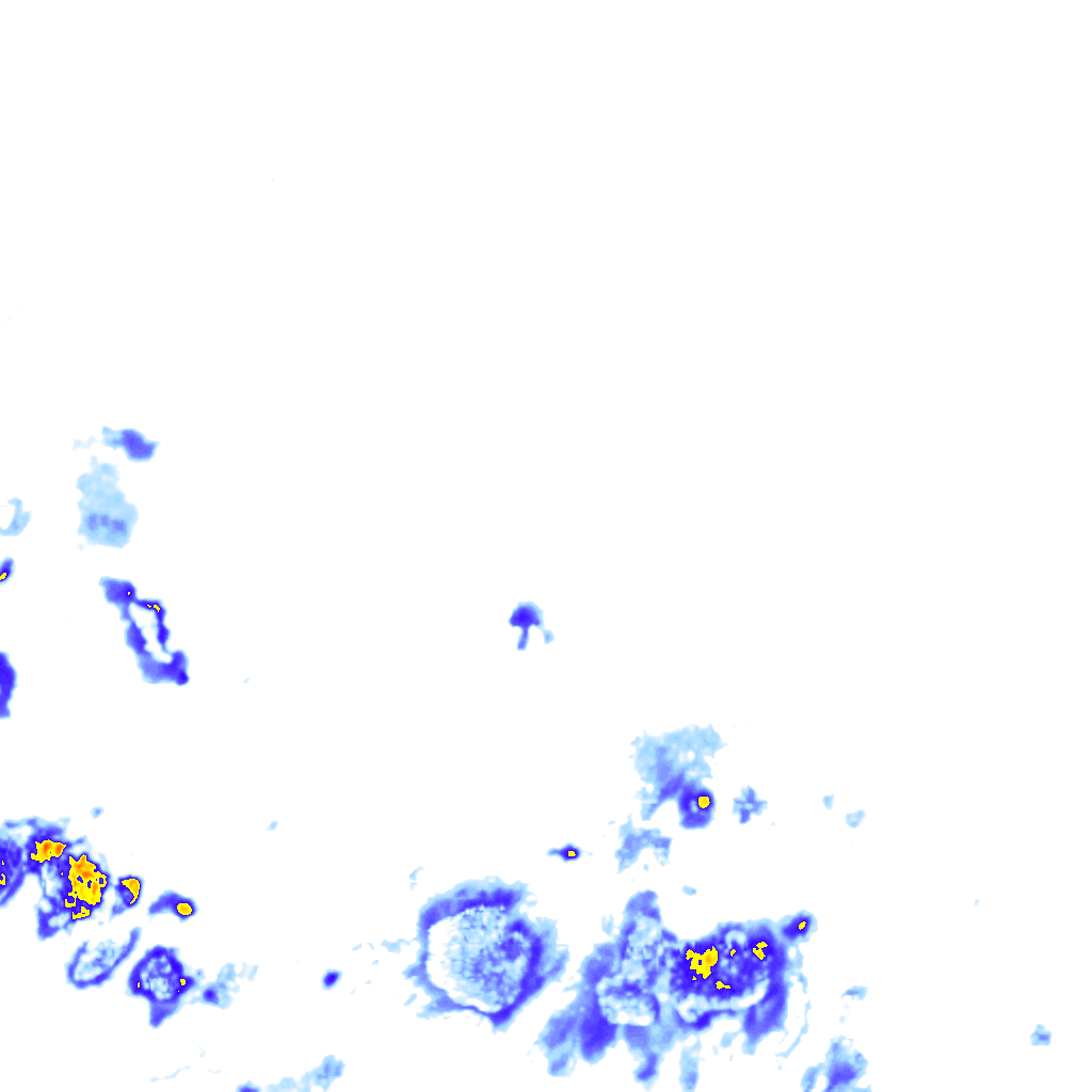 Image Layer