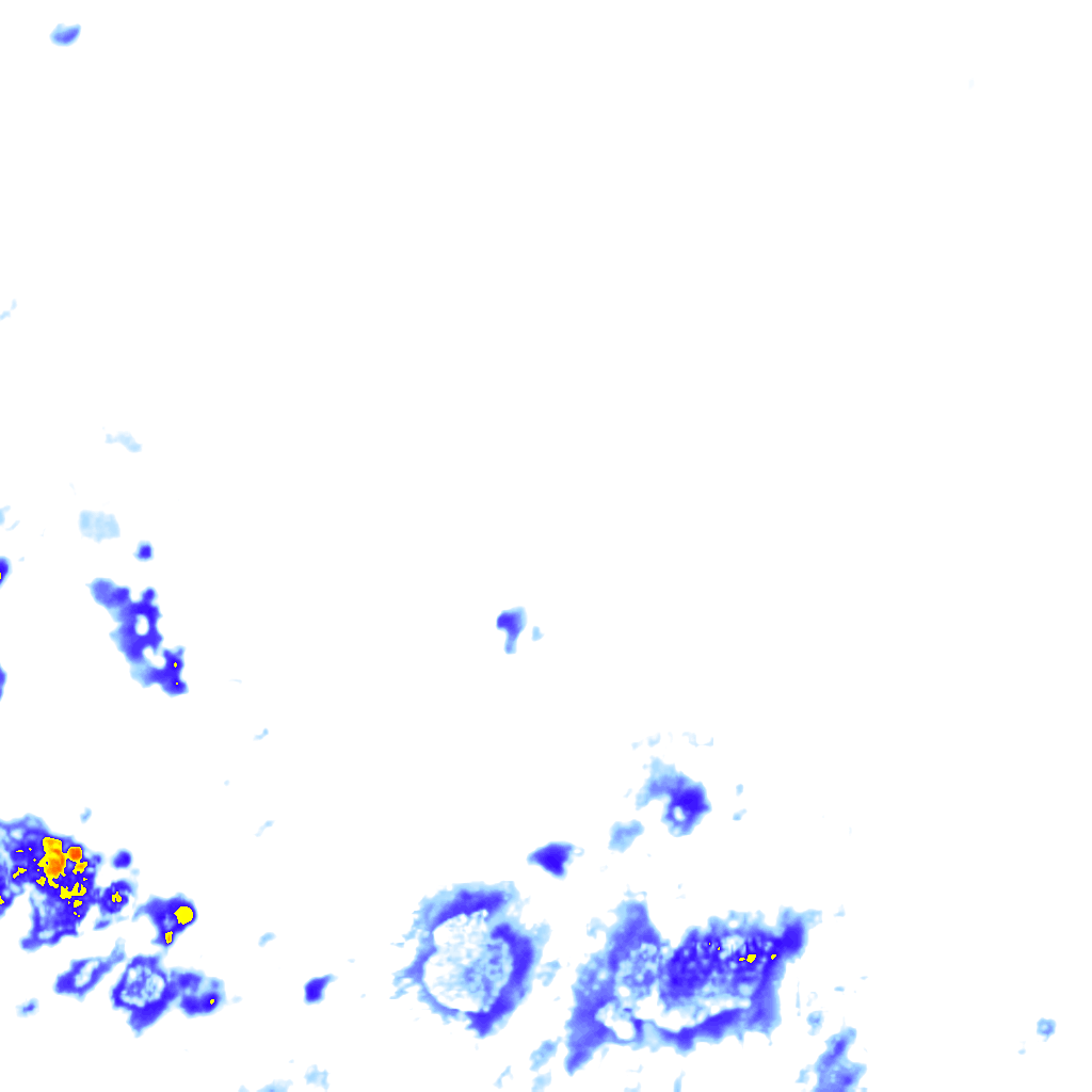 rainLayer