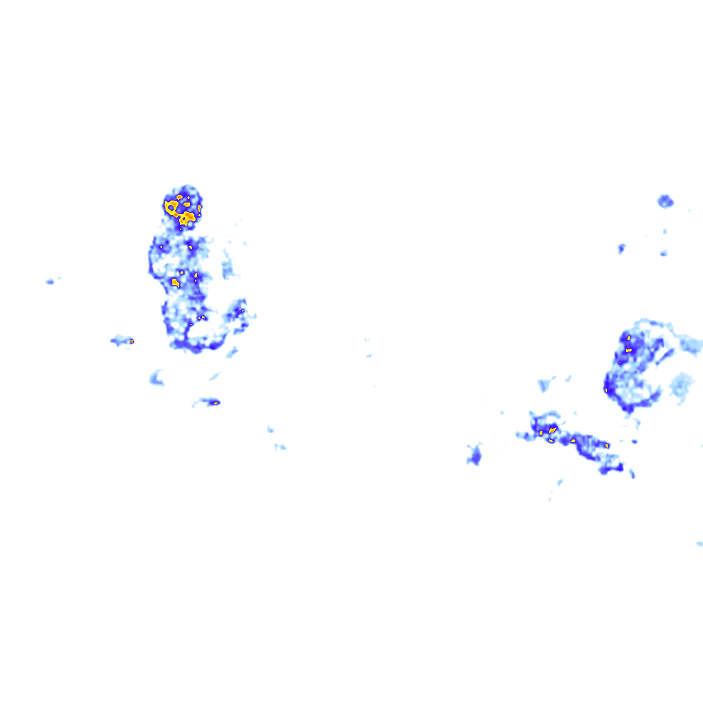 rainLayer