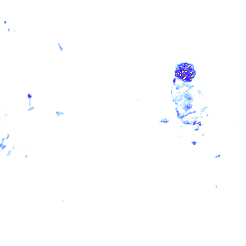 rainLayer