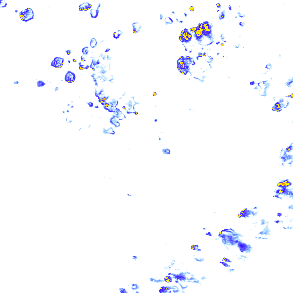 rainLayer