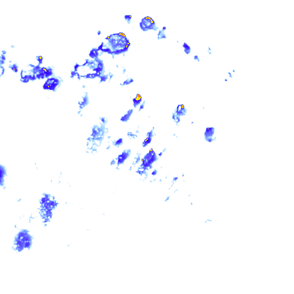 rainLayer
