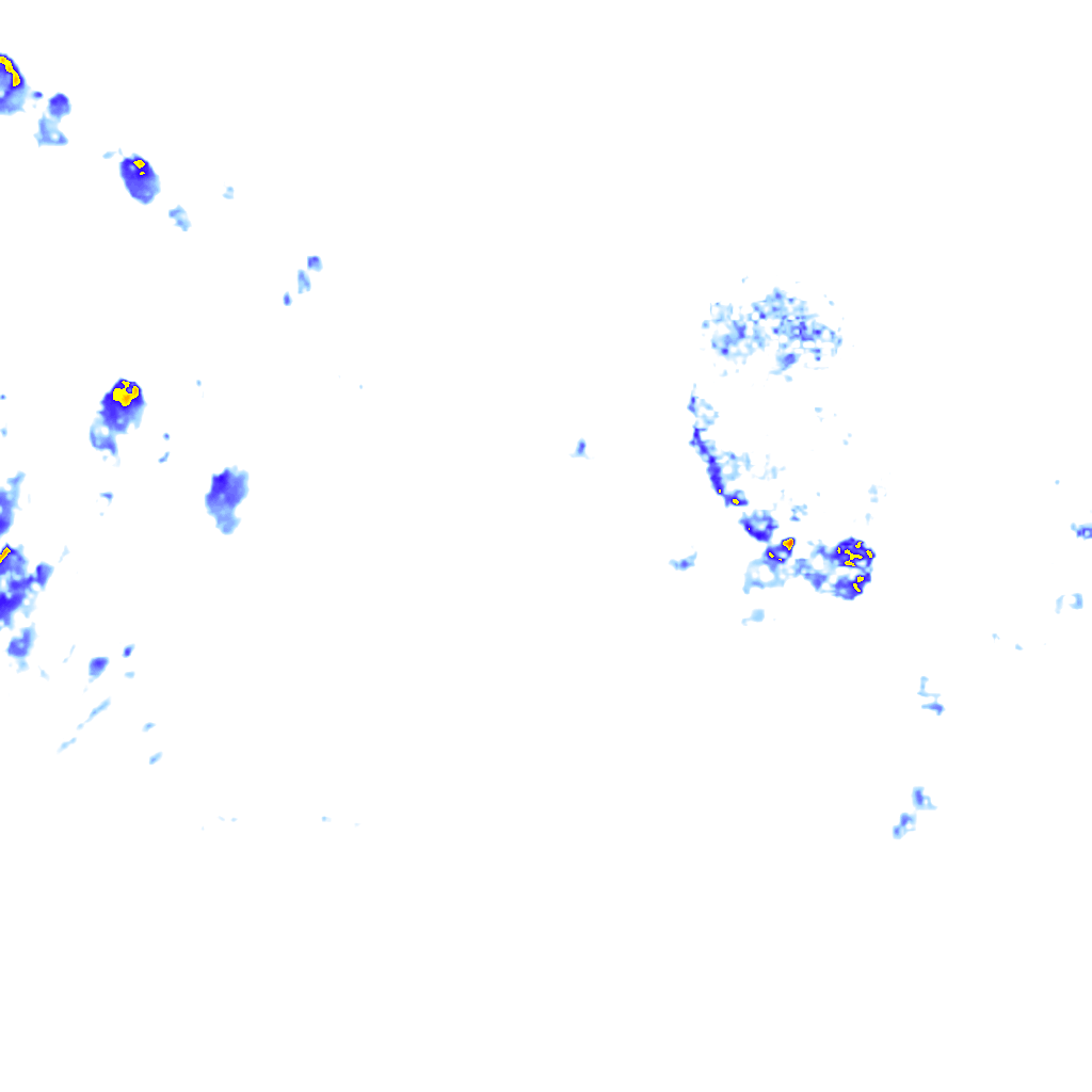 rainLayer