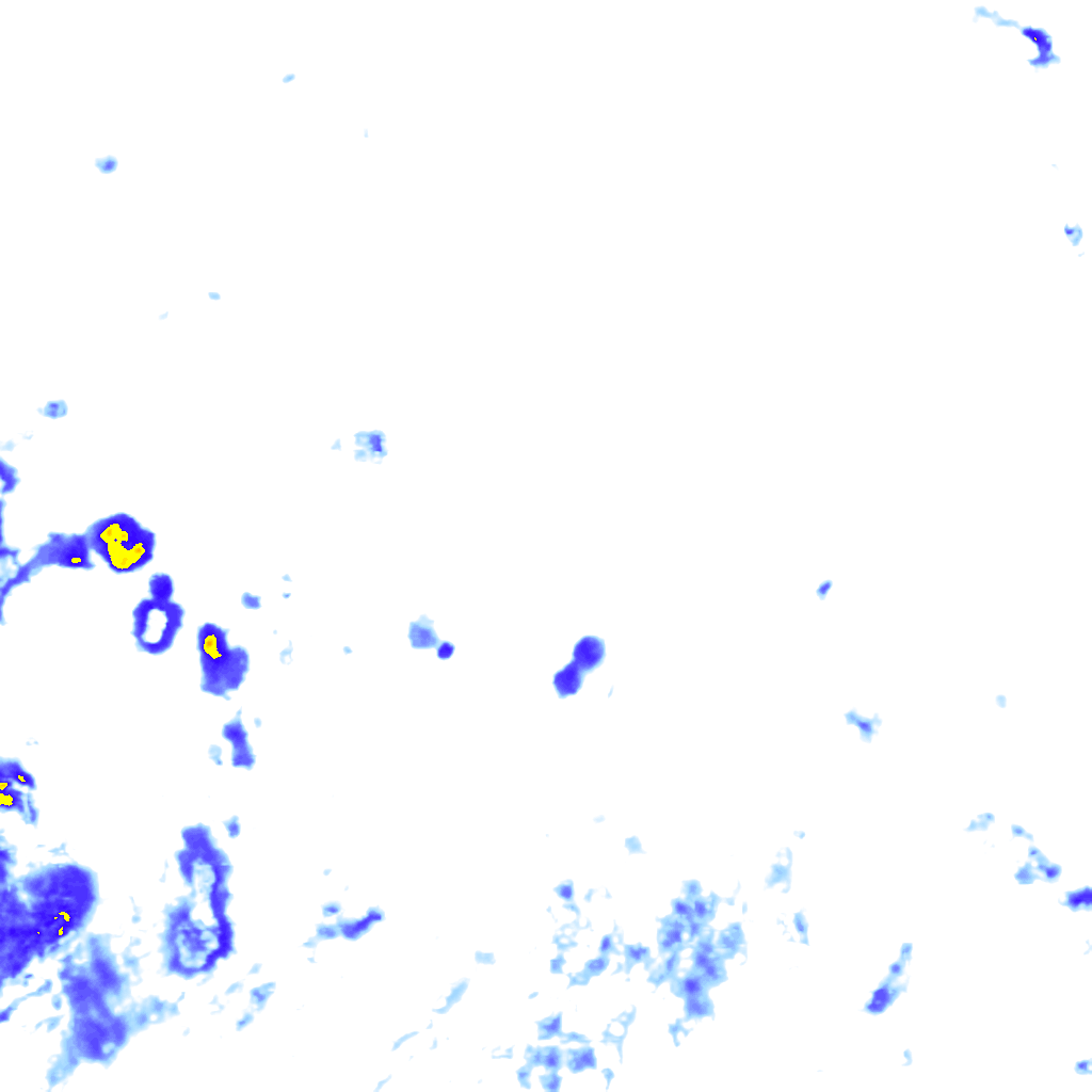 rainLayer