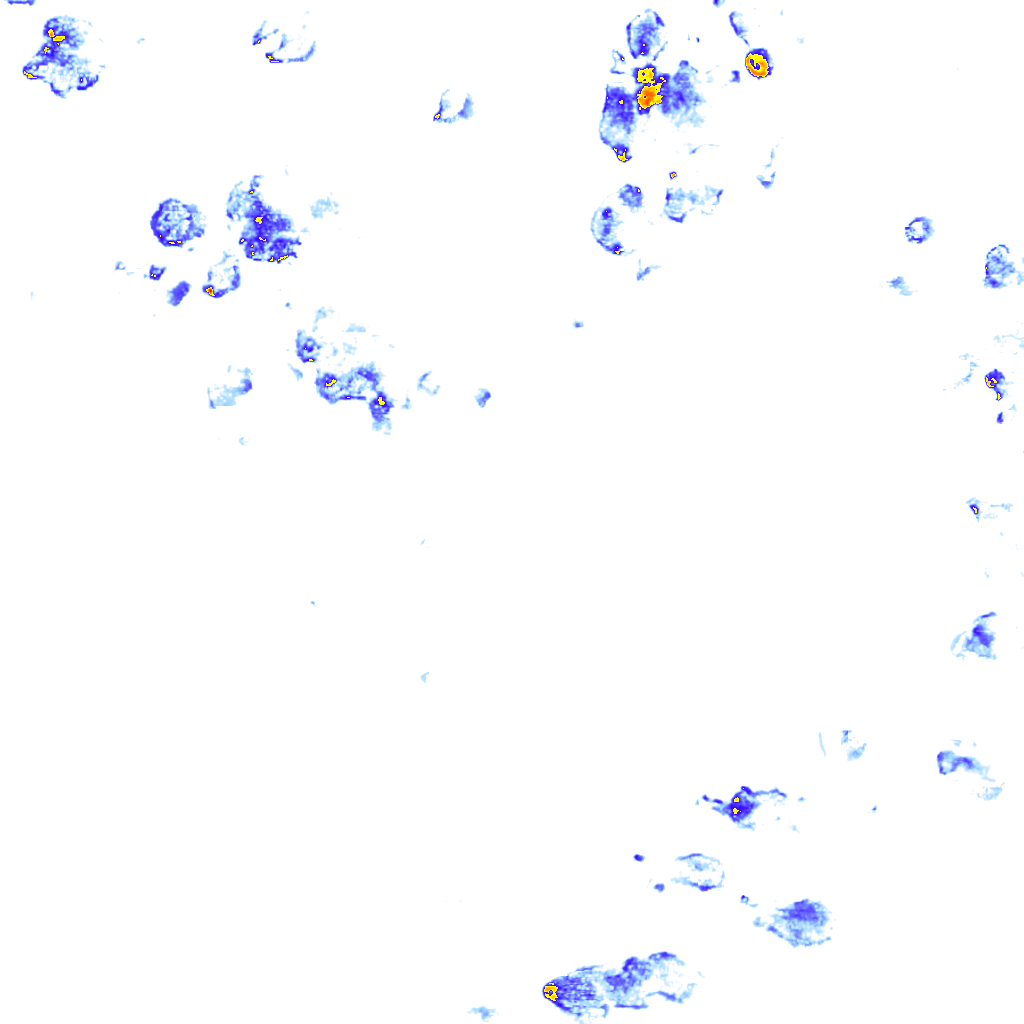 Image Layer