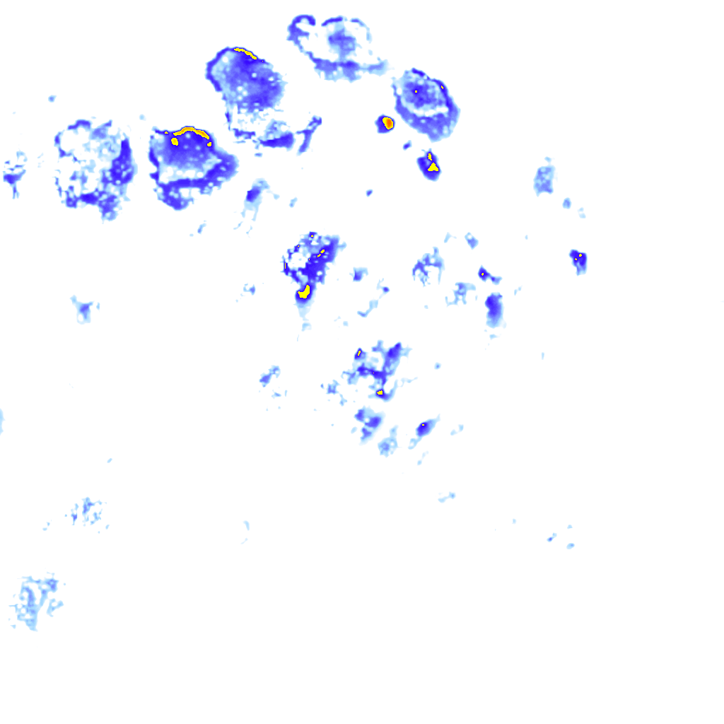 rainLayer