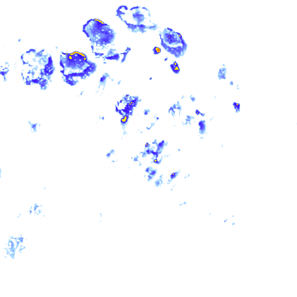 rainLayer