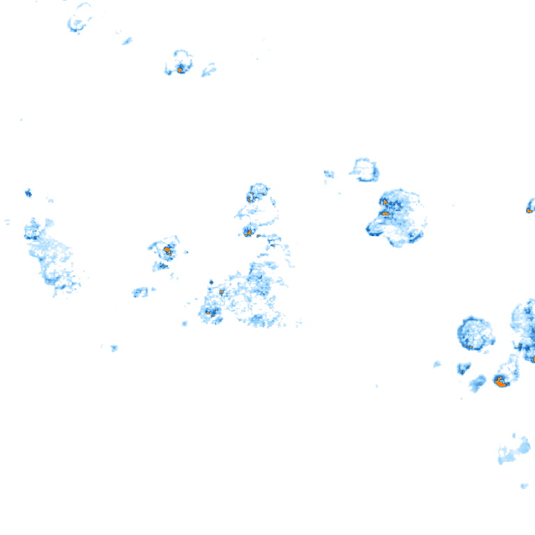 rain layer