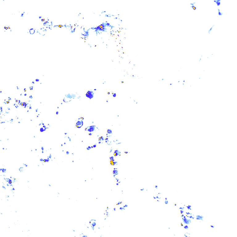 rainLayer