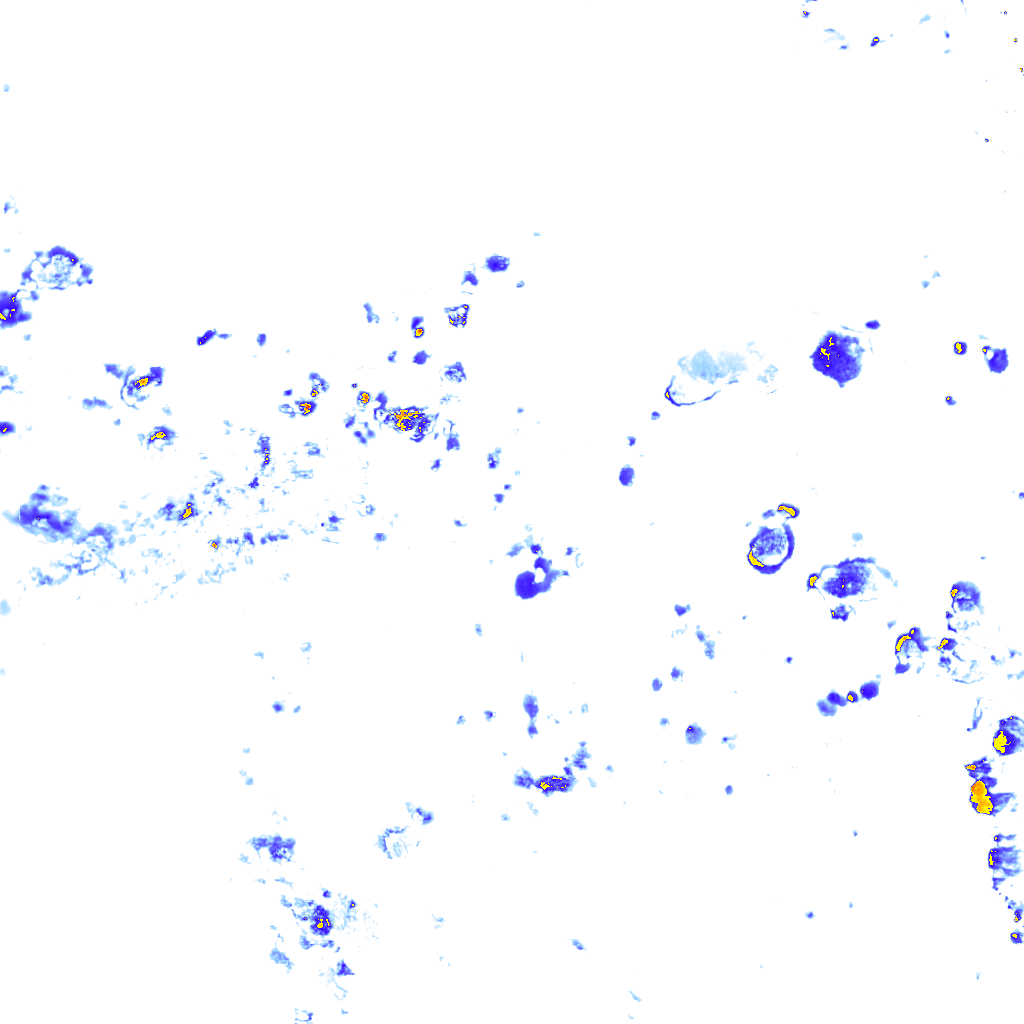 rainLayer