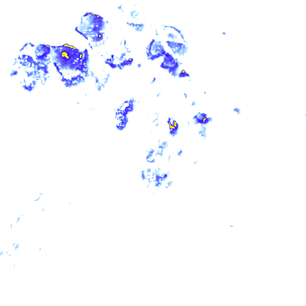 rainLayer