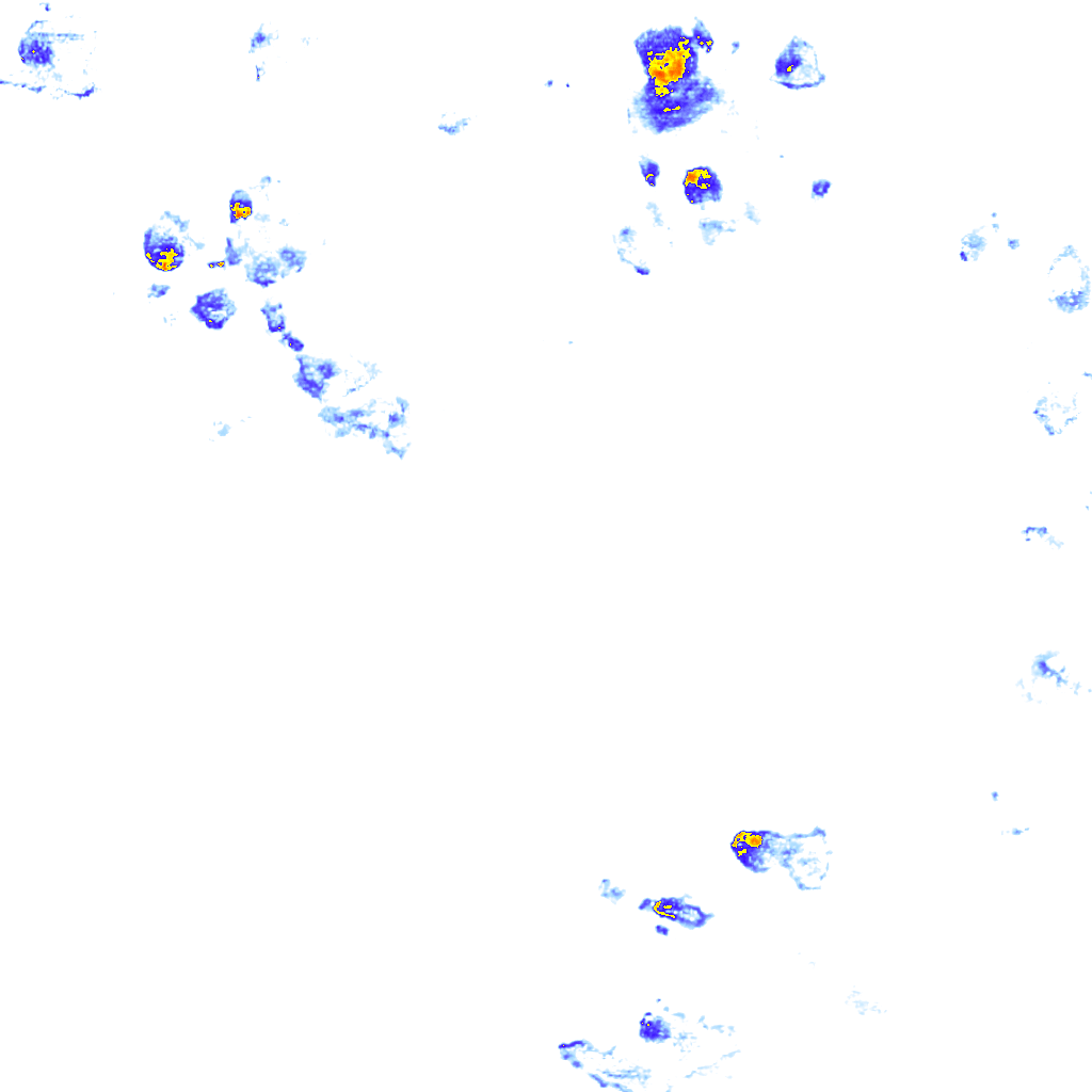 Image Layer