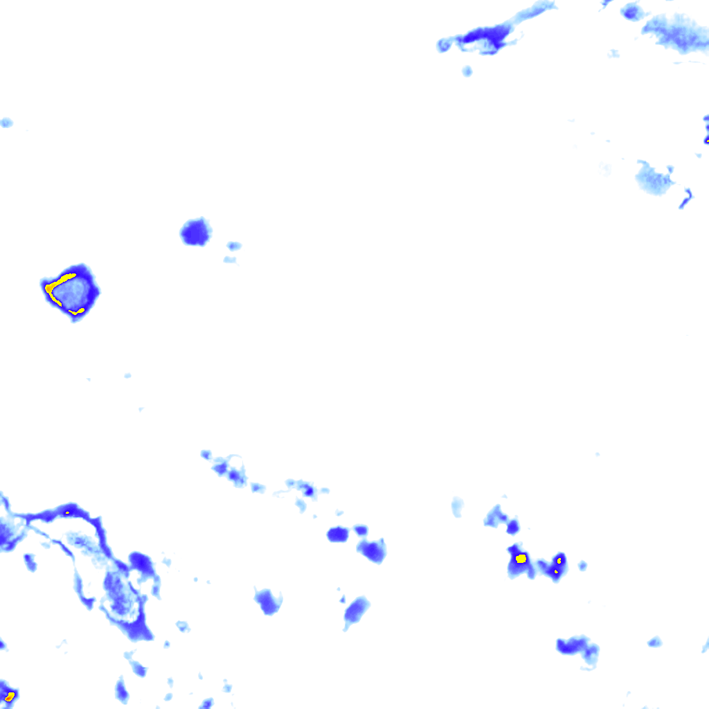 rainLayer