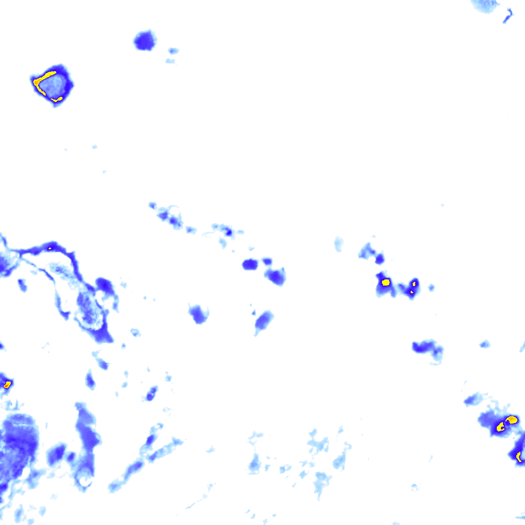 rainLayer
