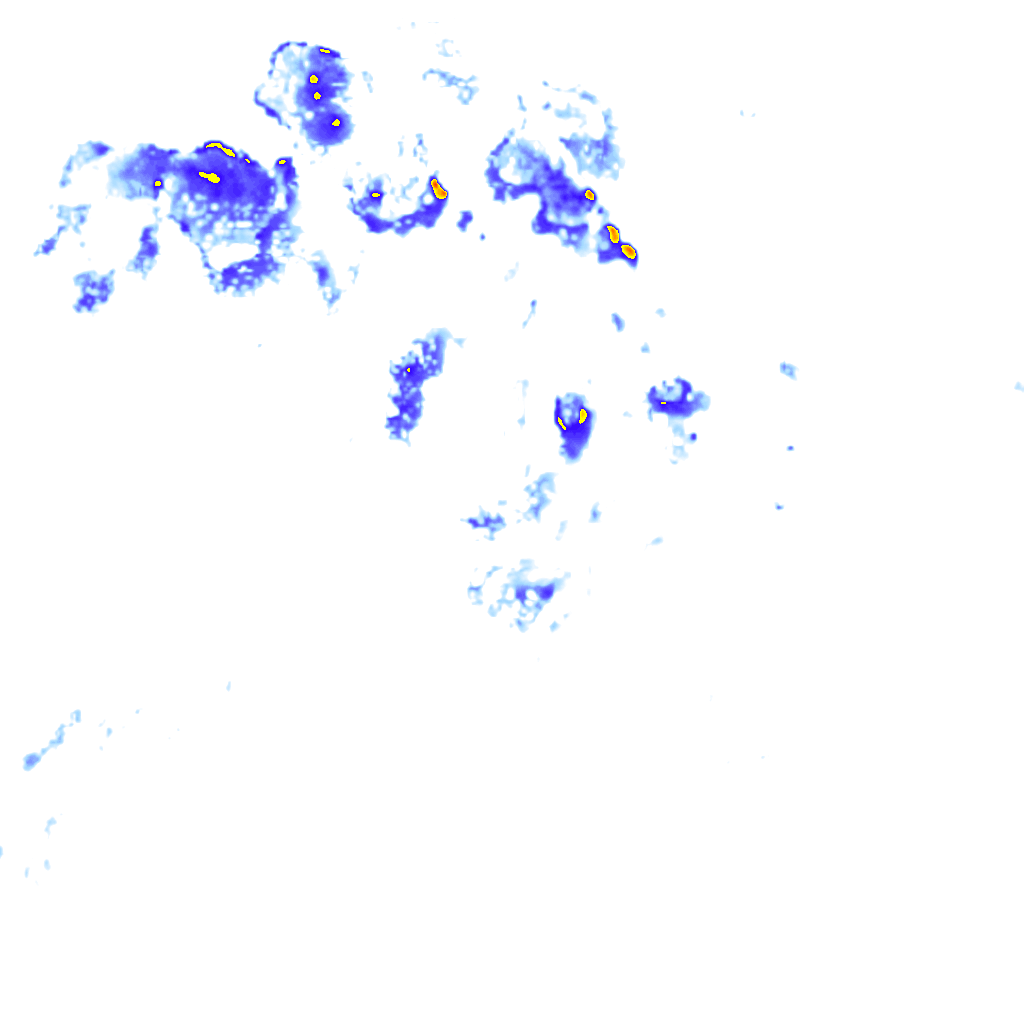 rainLayer