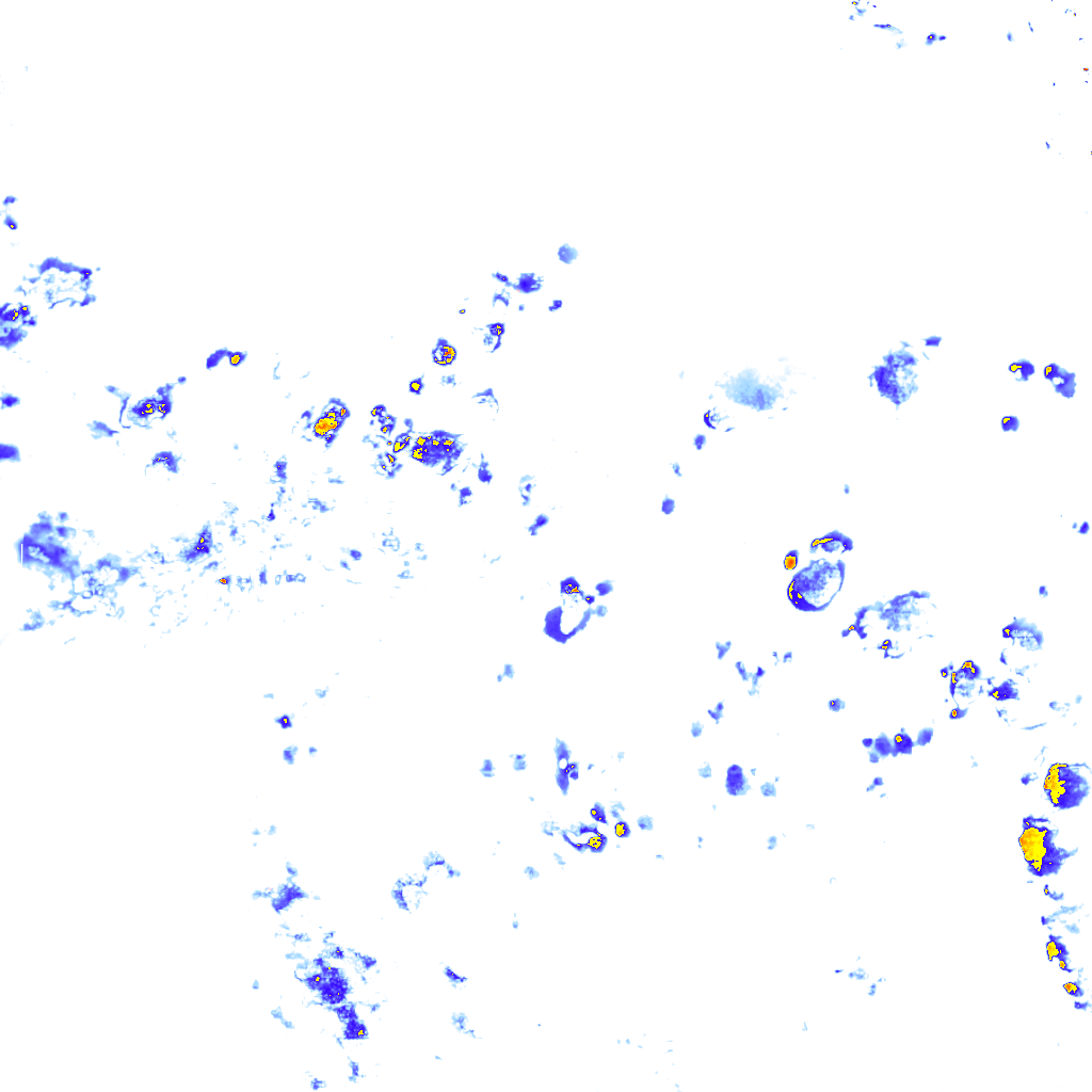 rainLayer