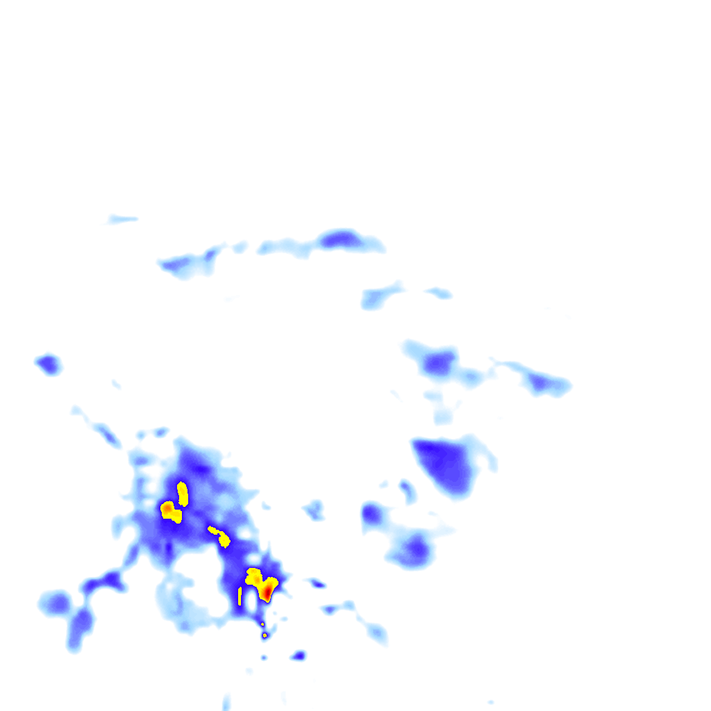 rainLayer