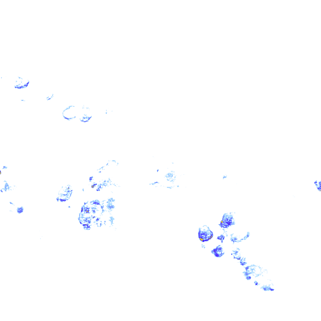 rainLayer