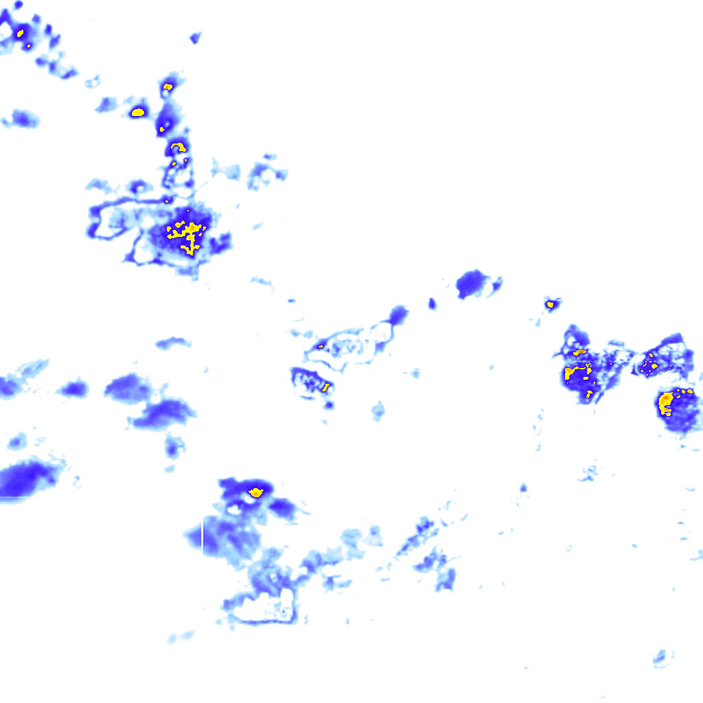 rainLayer