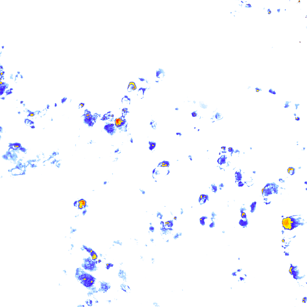 rainLayer