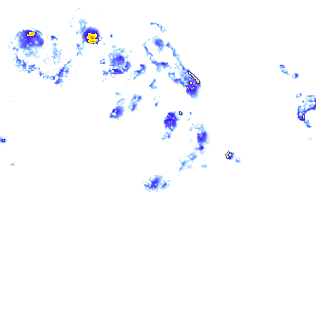 rainLayer