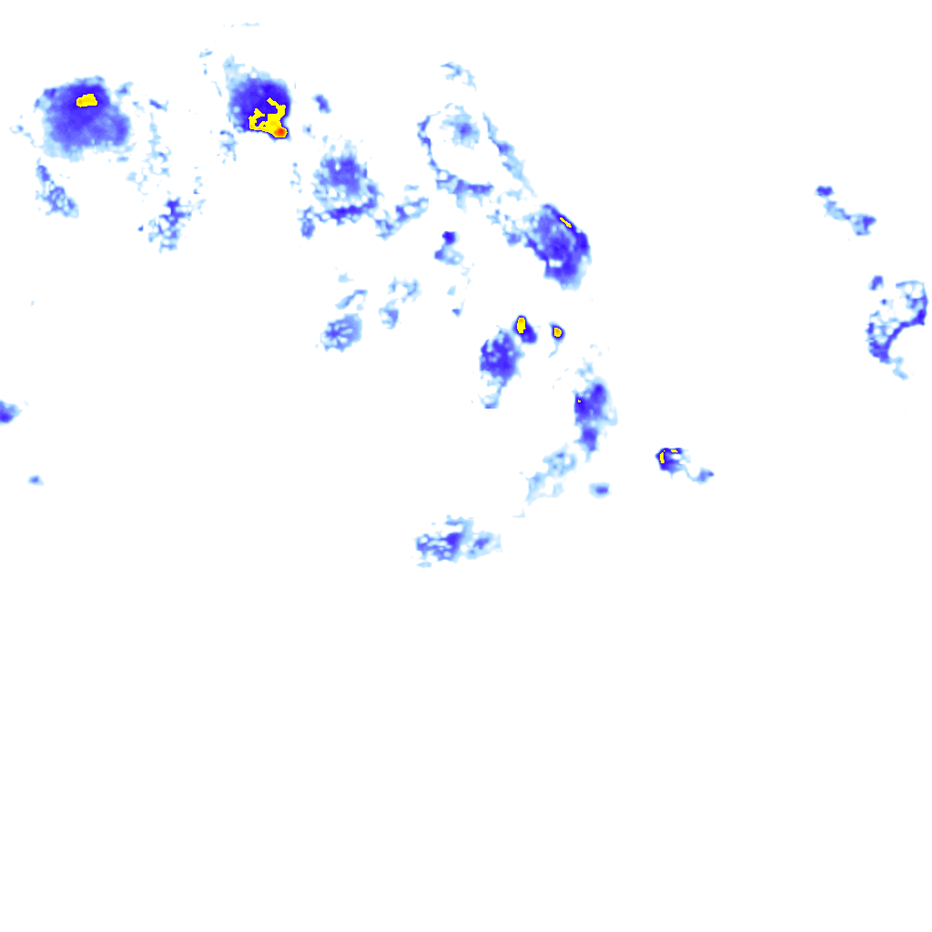 Image Layer