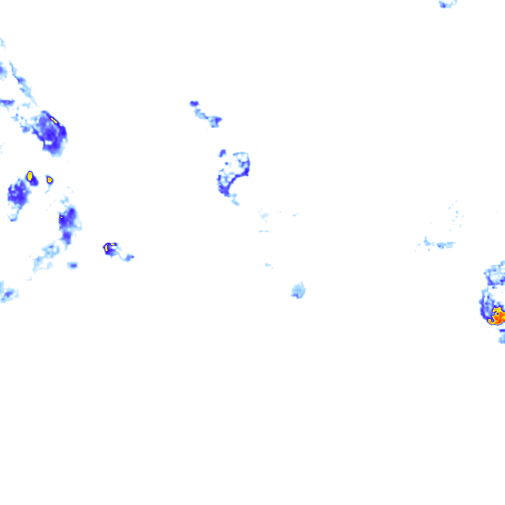 rainLayer