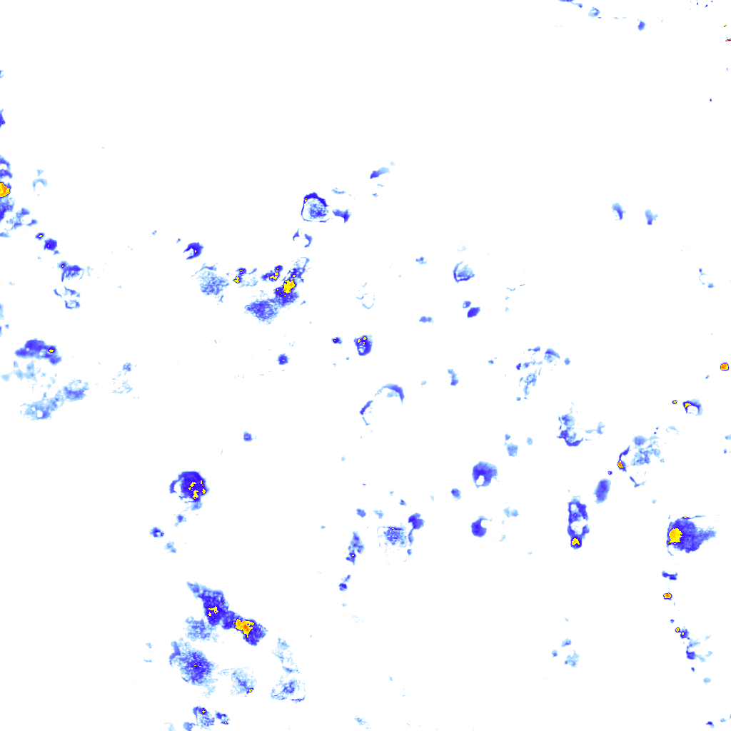 rainLayer