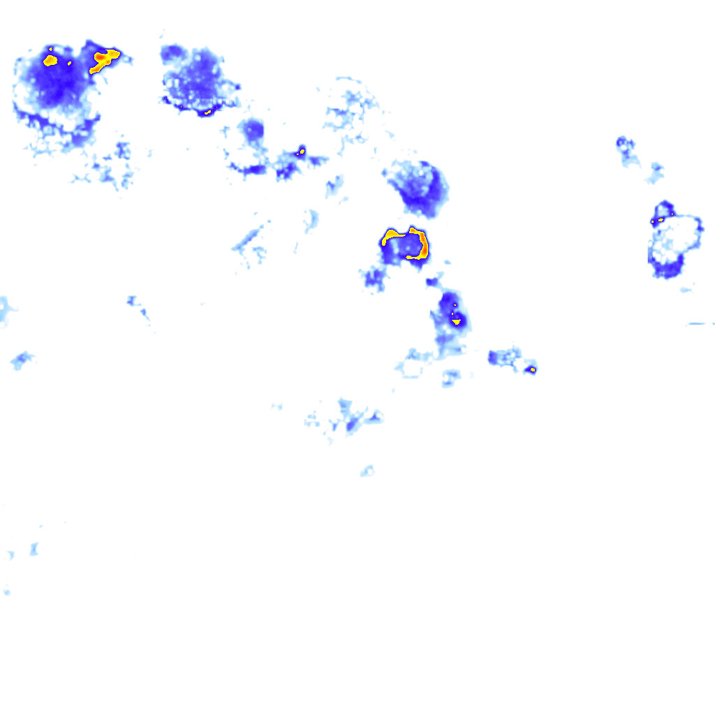 Image Layer