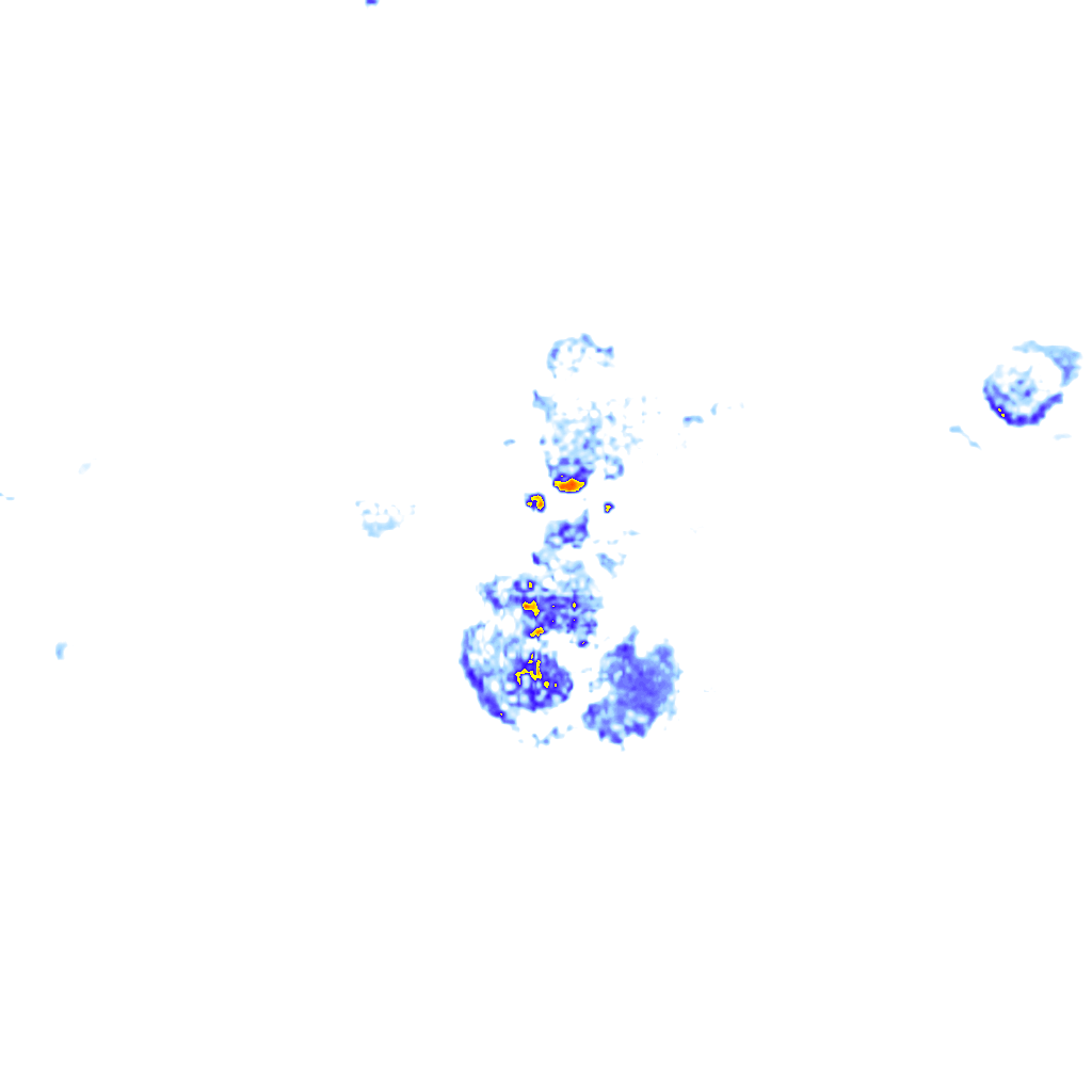 Image Layer