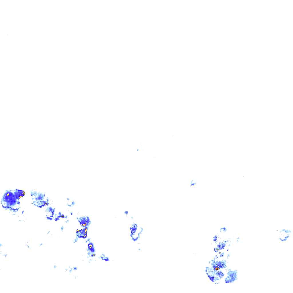 rainLayer