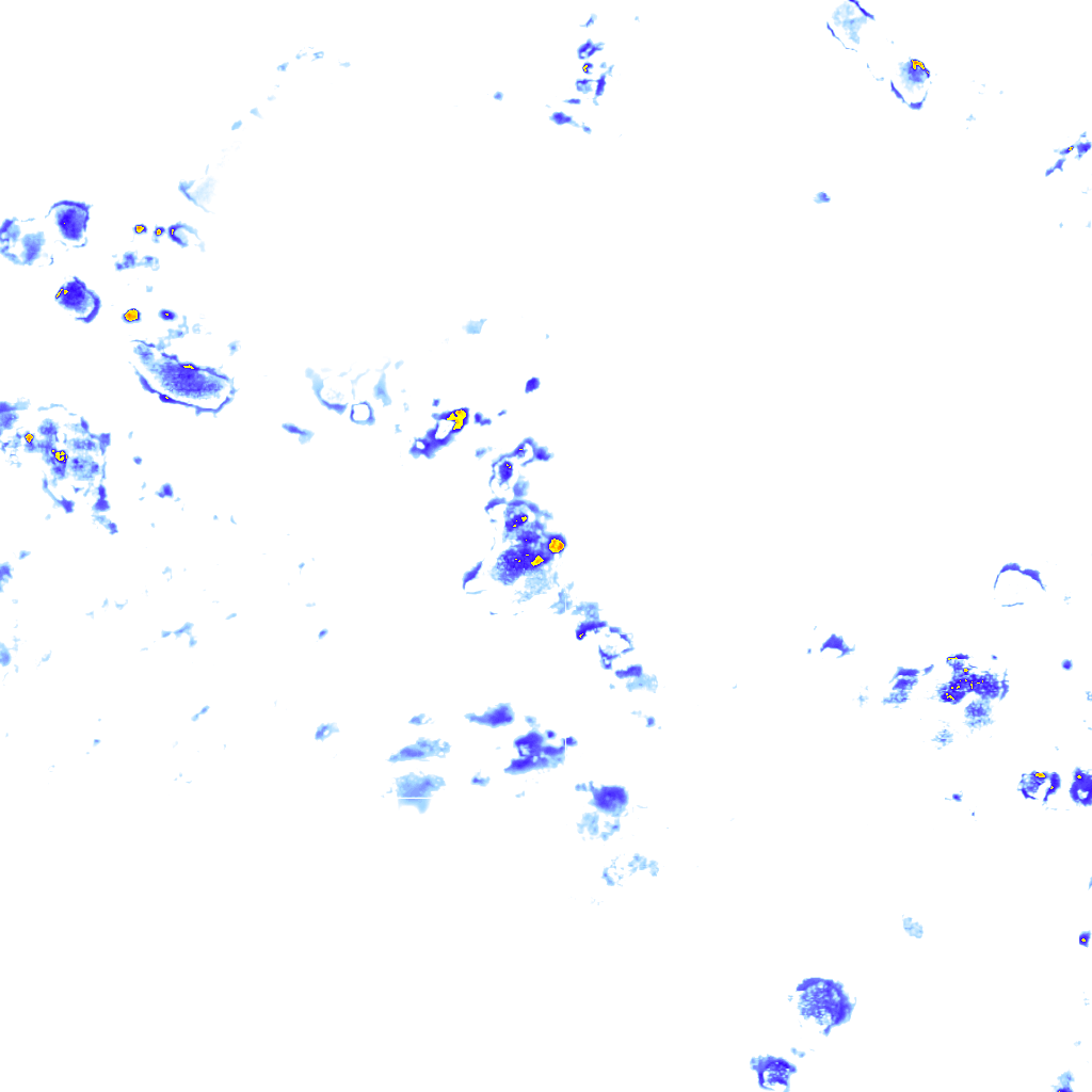 Image Layer