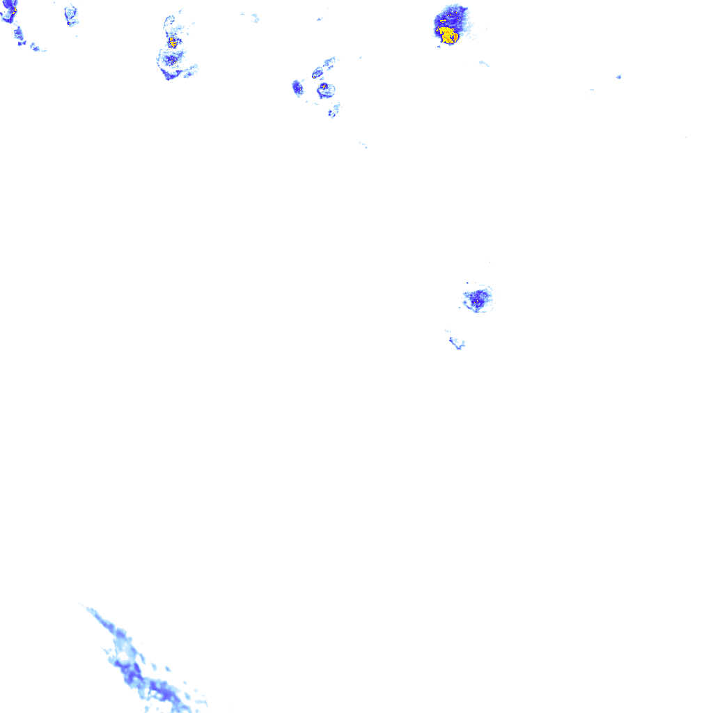 rainLayer