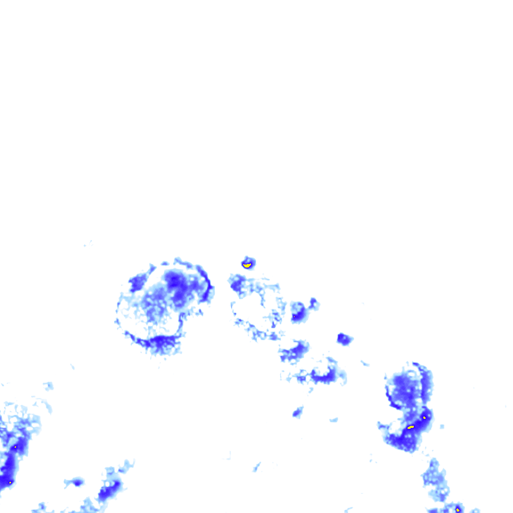 rainLayer